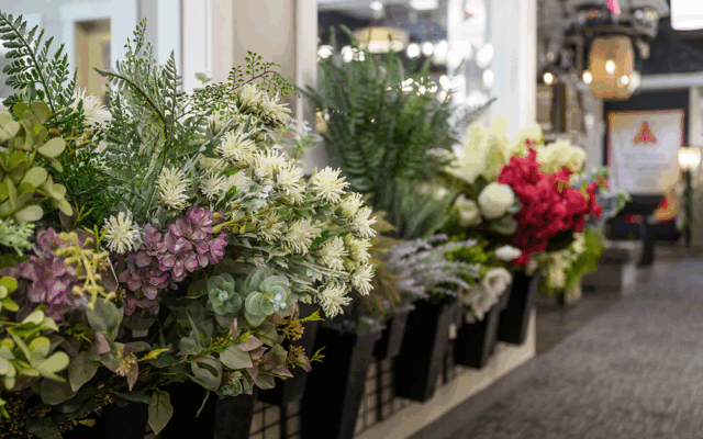 haley-comfort-showroom-gallery-5