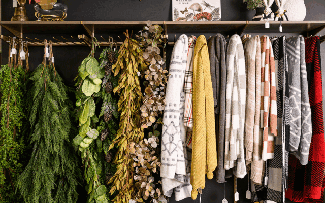 haley-comfort-showroom-gallery