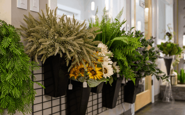 haley-comfort-showroom-gallery-90